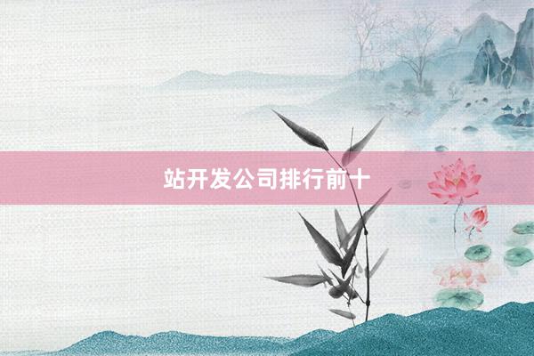 站开发公司排行前十
