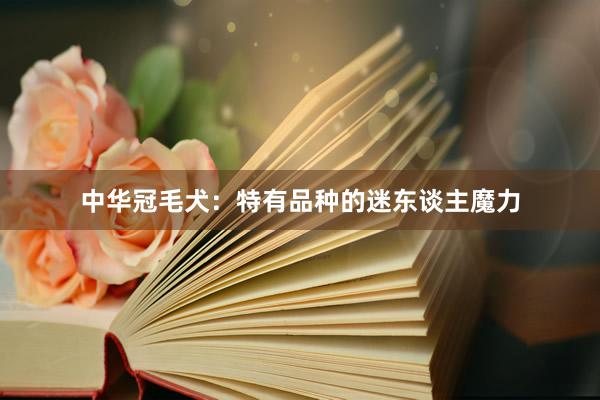 中华冠毛犬：特有品种的迷东谈主魔力